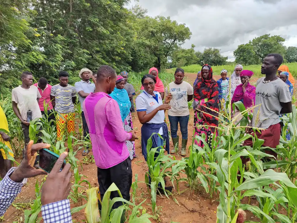 Training session with local farmers in maize field